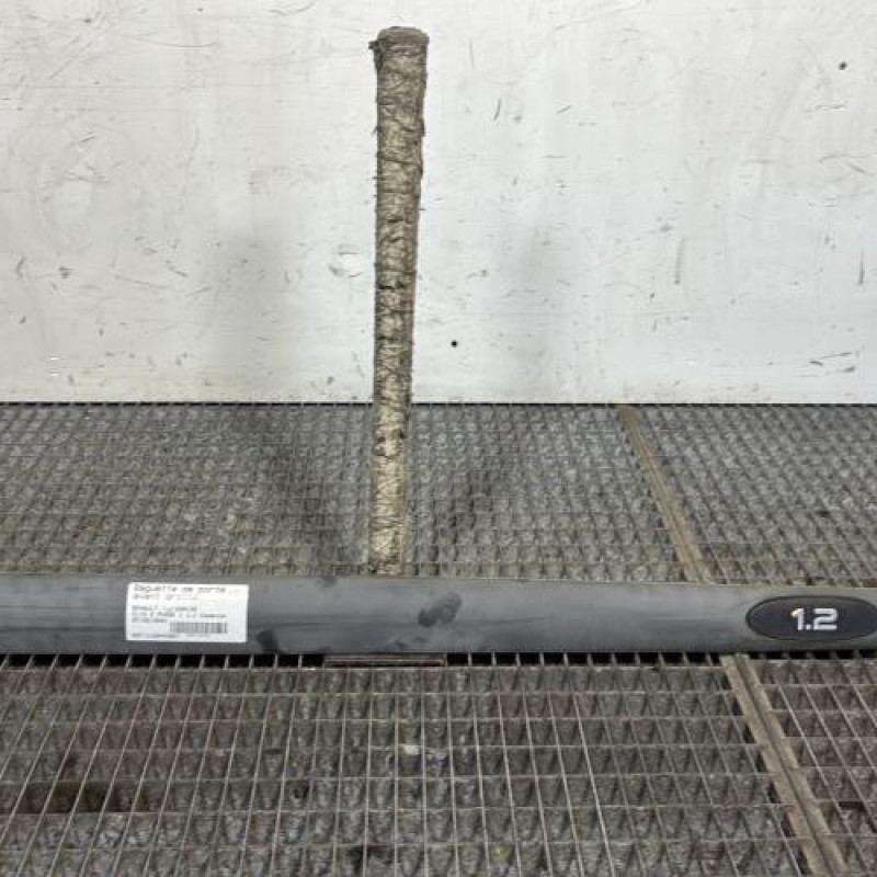 Baguette de porte avant droite RENAULT CLIO 2 Photo n°1