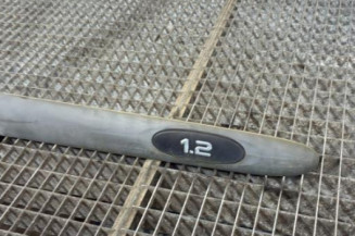 Baguette de porte avant droite RENAULT CLIO 2