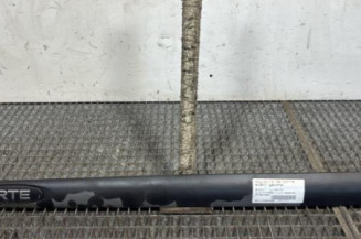 Baguette de porte avant gauche RENAULT CLIO 2 Photo n°1