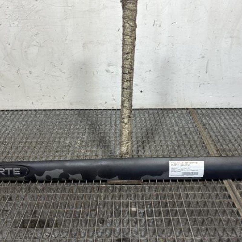 Baguette de porte avant gauche RENAULT CLIO 2 Photo n°1