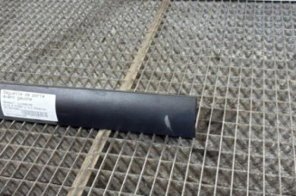 Baguette de porte avant gauche RENAULT CLIO 2