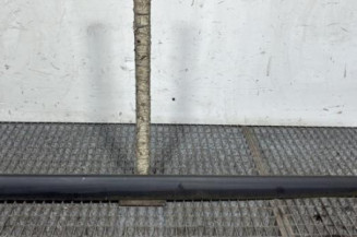 Baguette de porte avant droite PEUGEOT 206+ Photo n°1