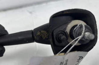 Antenne PEUGEOT 206+