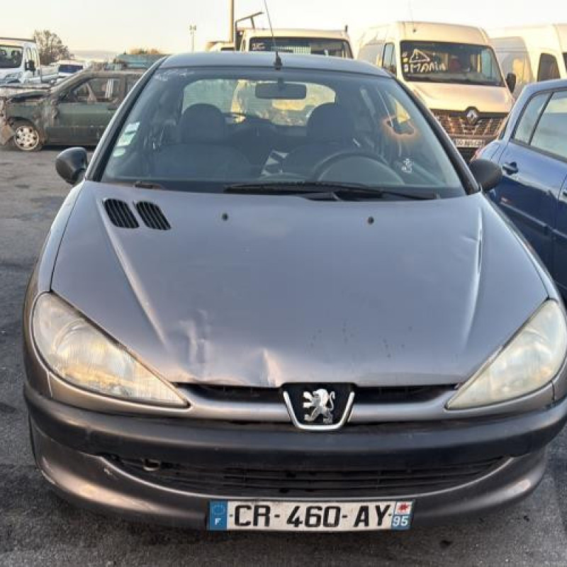 Amortisseur arriere gauche PEUGEOT 206 Photo n°13