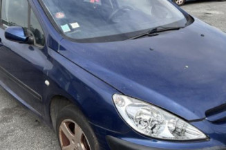 Vase de lave glace PEUGEOT 307