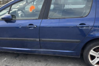 Vase de lave glace PEUGEOT 307