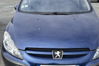 Vase de lave glace PEUGEOT 307