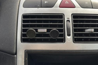 Vase de lave glace PEUGEOT 307