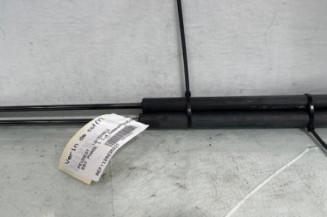 Verin de coffre PEUGEOT 207 Photo n°1