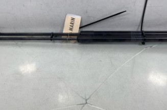 Verin de coffre CITROEN C4 PICASSO 2