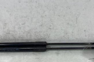 Verin de coffre DACIA SANDERO 1 Photo n°1