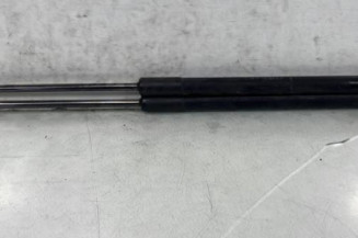 Verin de coffre DACIA SANDERO 1