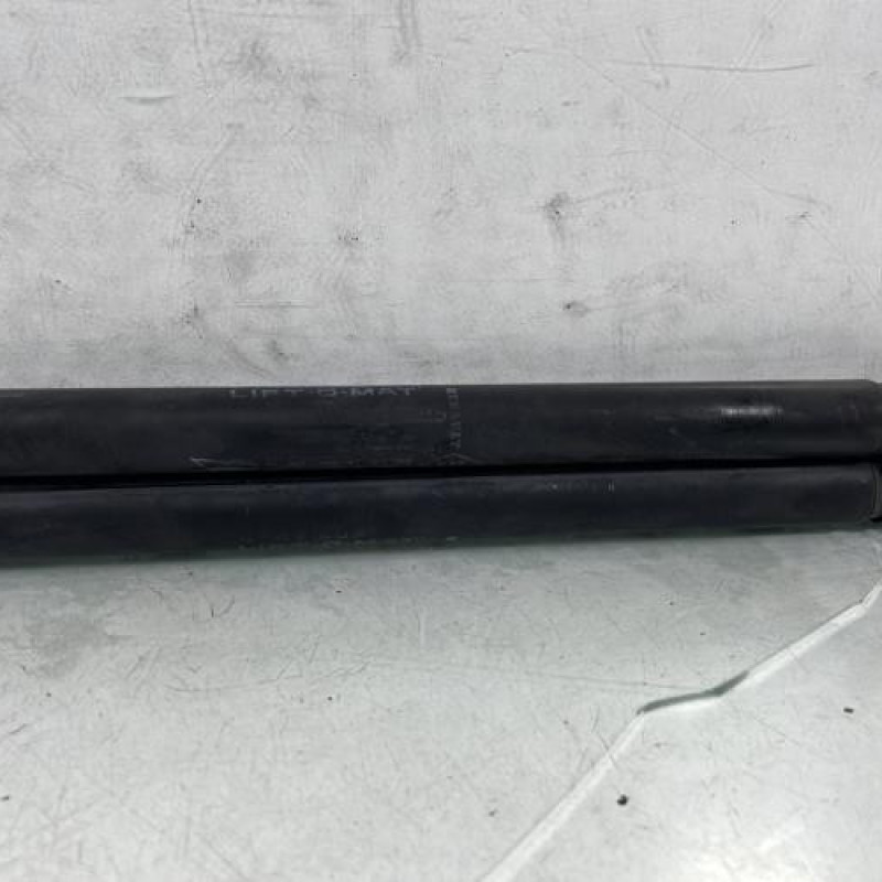 Verin de coffre DACIA SANDERO 1 Photo n°4