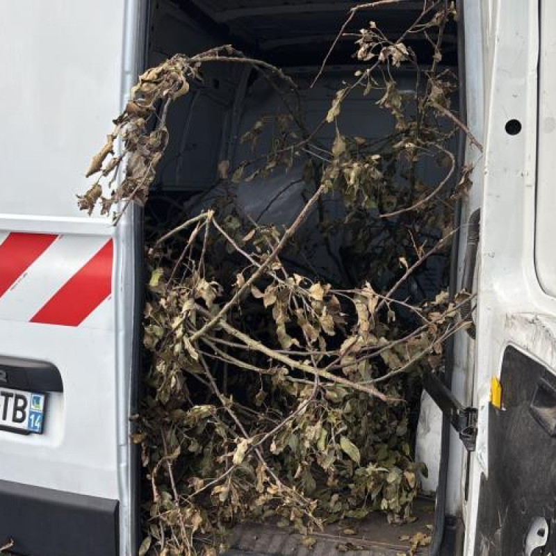 Bouchon de carburant RENAULT MASTER 3 Photo n°8