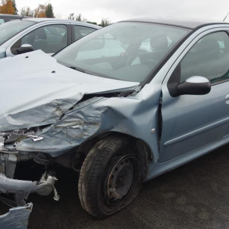 Porte arriere droit PEUGEOT 206 Photo n°3