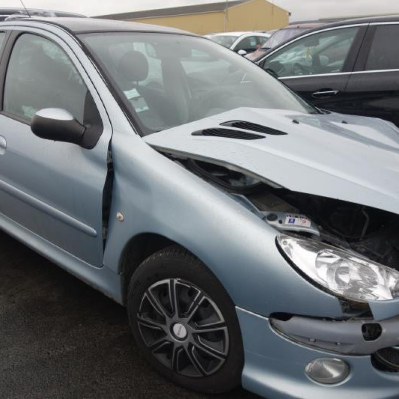 Porte arriere droit PEUGEOT 206 Photo n°4