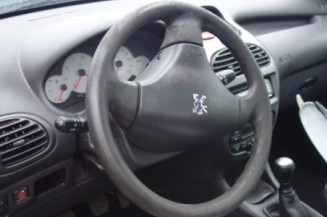 Porte arriere droit PEUGEOT 206