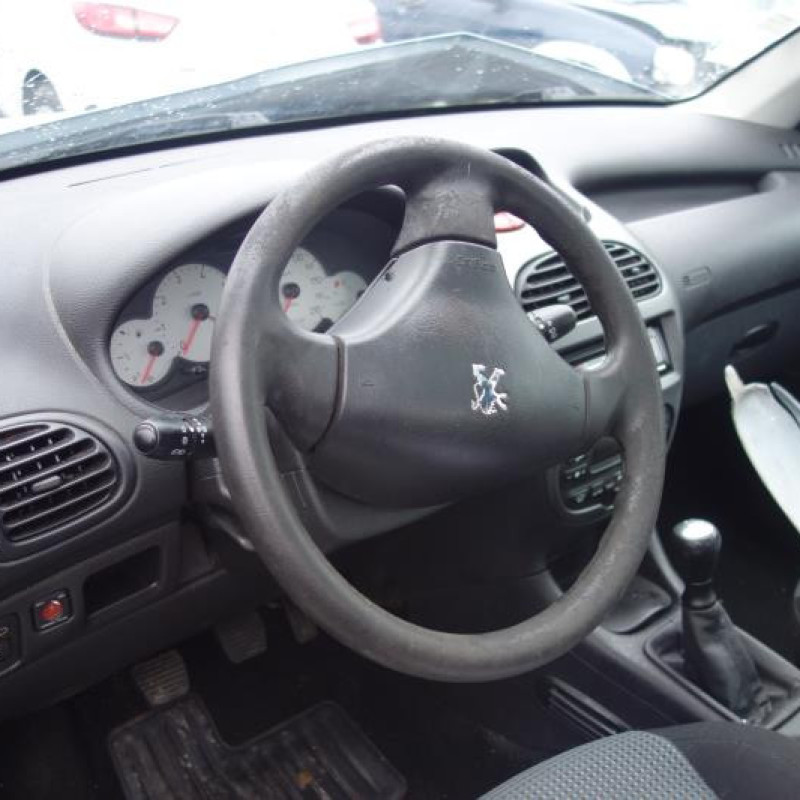 Porte arriere droit PEUGEOT 206 Photo n°7