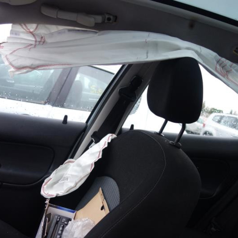 Porte arriere droit PEUGEOT 206 Photo n°8