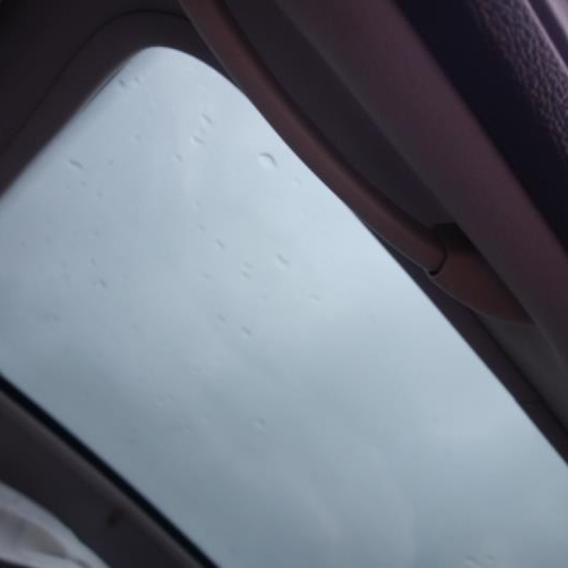 Porte arriere droit PEUGEOT 206 Photo n°9