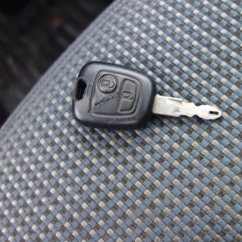 Porte arriere droit PEUGEOT 206 Photo n°11