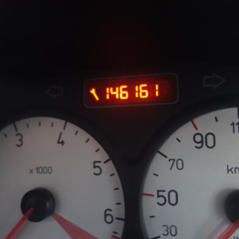 Porte arriere droit PEUGEOT 206 Photo n°12