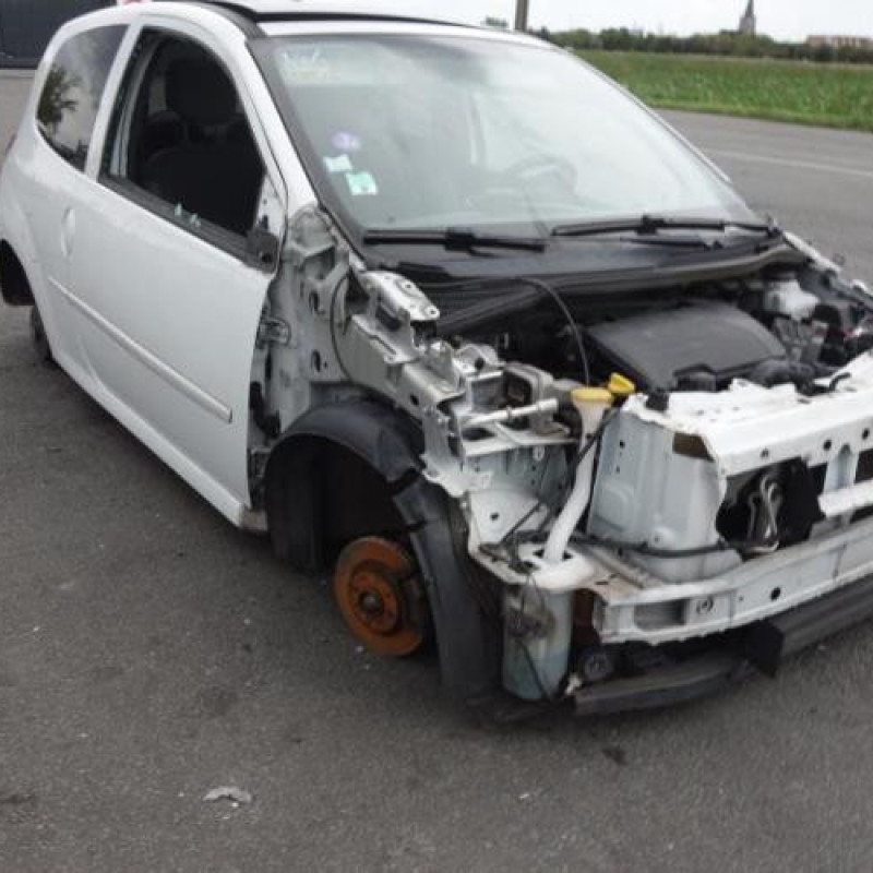 Porte avant gauche RENAULT TWINGO 2 Photo n°4