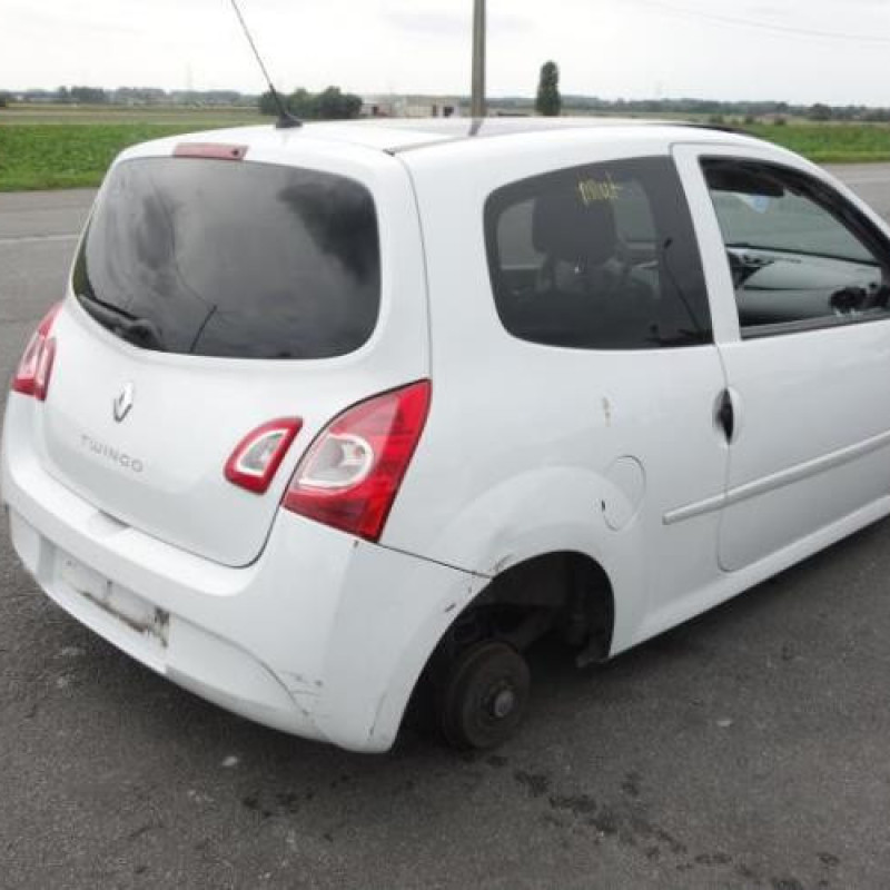 Porte avant gauche RENAULT TWINGO 2 Photo n°5