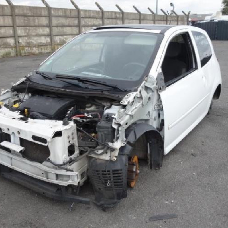 Porte avant gauche RENAULT TWINGO 2 Photo n°7