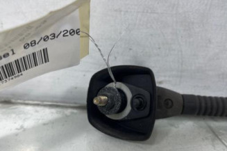 Antenne PEUGEOT 306