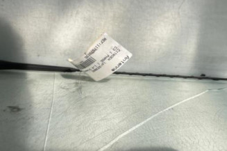 Antenne CITROEN C3 1 Photo n°1