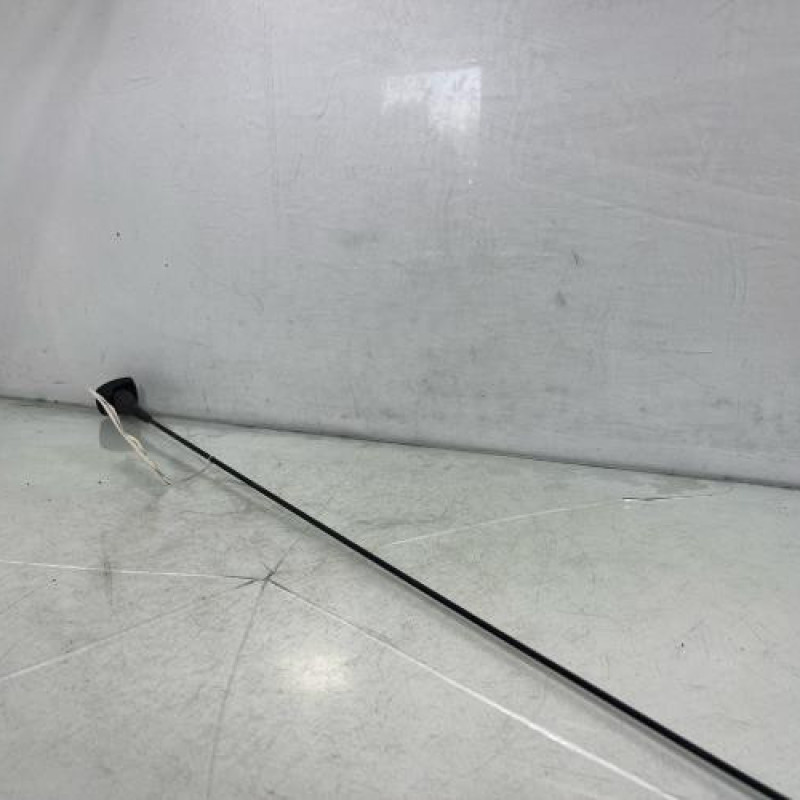 Antenne DACIA SANDERO 2 Photo n°1