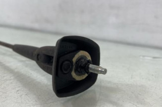 Antenne DACIA SANDERO 2