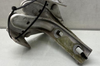 Charniere de capot RENAULT MASTER 2 Photo n°1