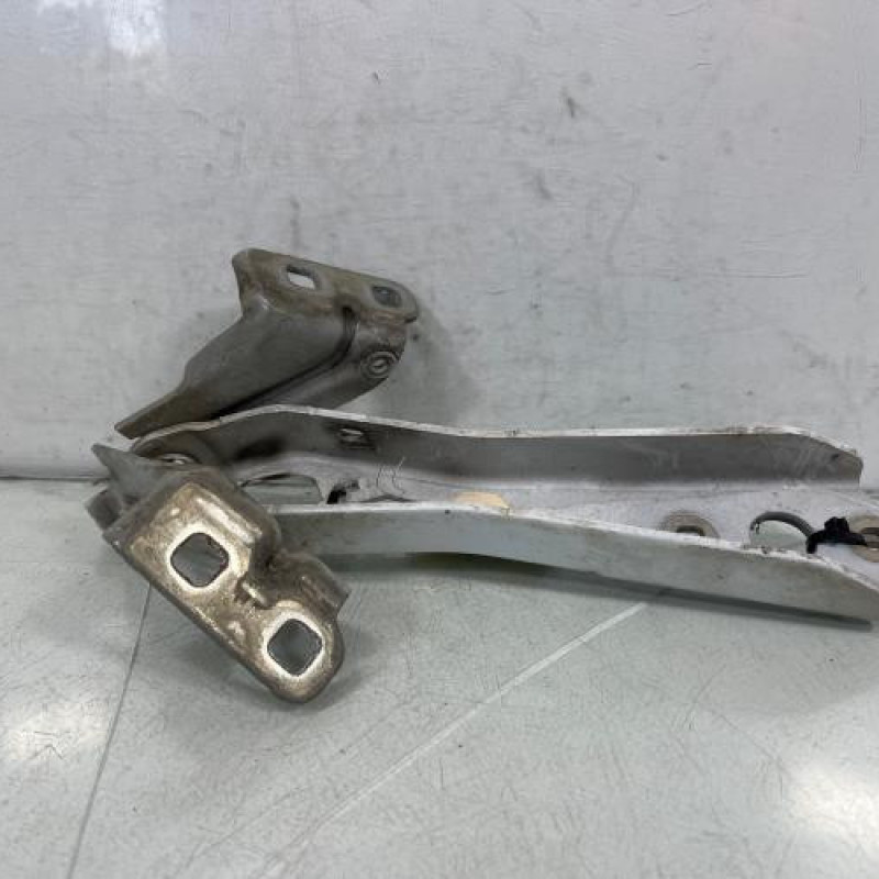 Charniere de capot RENAULT MASTER 3 Photo n°3