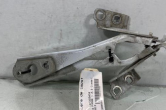 Charniere de capot RENAULT MASTER 3