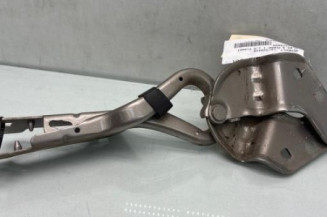 Charniere de capot RENAULT CLIO 3 Photo n°1