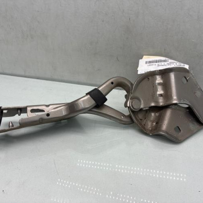 Charniere de capot RENAULT CLIO 3 Photo n°1