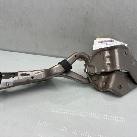 Charniere de capot RENAULT CLIO 3 Photo n°1