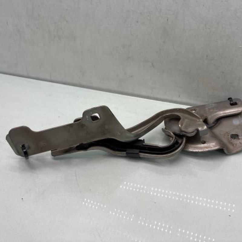 Charniere de capot RENAULT CLIO 3 Photo n°3