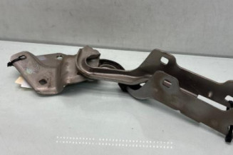 Charniere de capot RENAULT CLIO 3