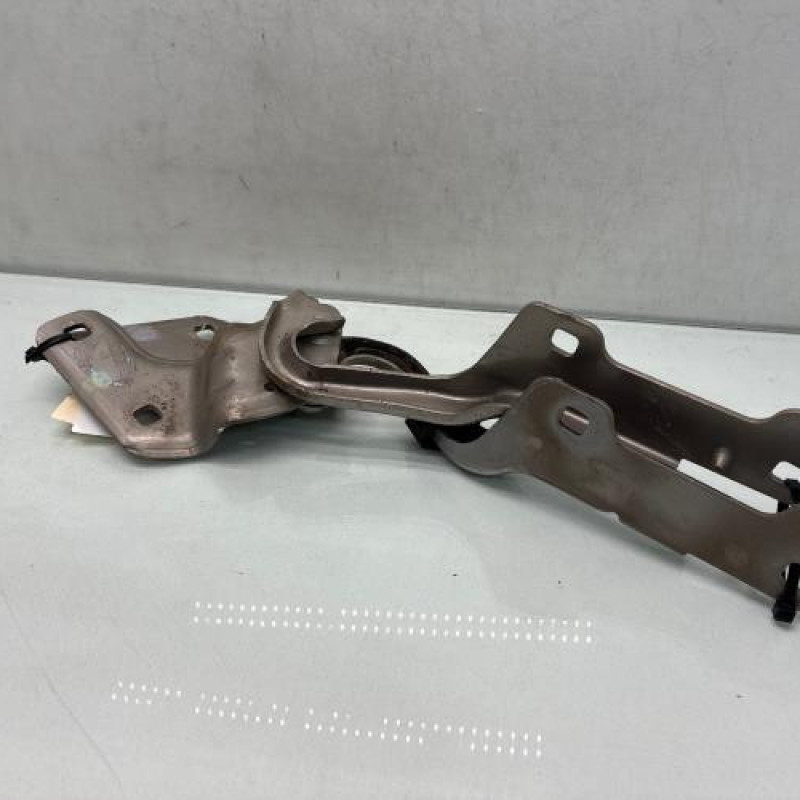 Charniere de capot RENAULT CLIO 3 Photo n°4