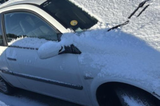 Cardan droit (transmission) RENAULT MEGANE 2