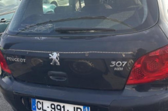 Com (Bloc Contacteur Tournant+Commodo Essuie Glace+Commodo Phare) PEUGEOT 307