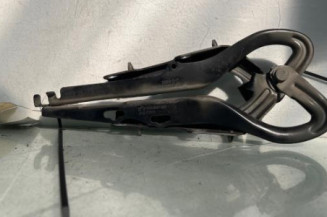 Charniere de capot PEUGEOT 207 Photo n°1