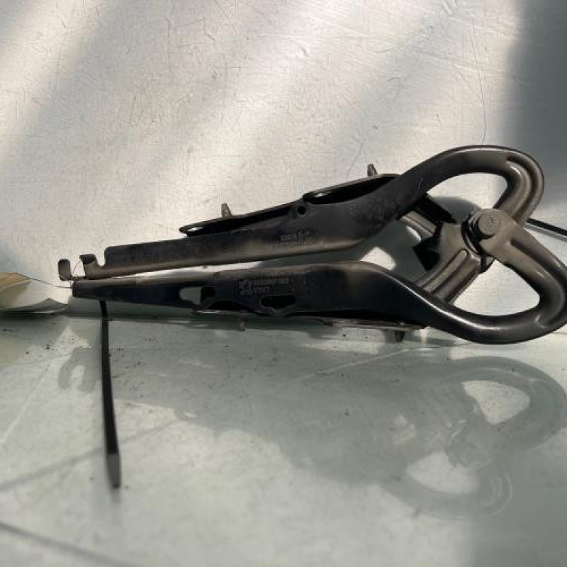 Charniere de capot PEUGEOT 207 Photo n°1