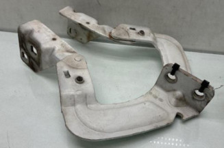 Charniere de capot RENAULT KANGOO 1 Photo n°1