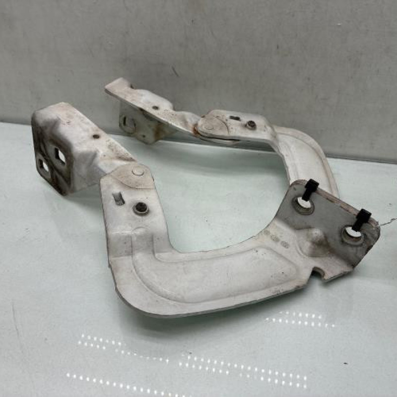 Charniere de capot RENAULT KANGOO 1 Photo n°1