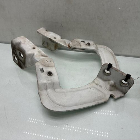 Charniere de capot RENAULT KANGOO 1 Photo n°1