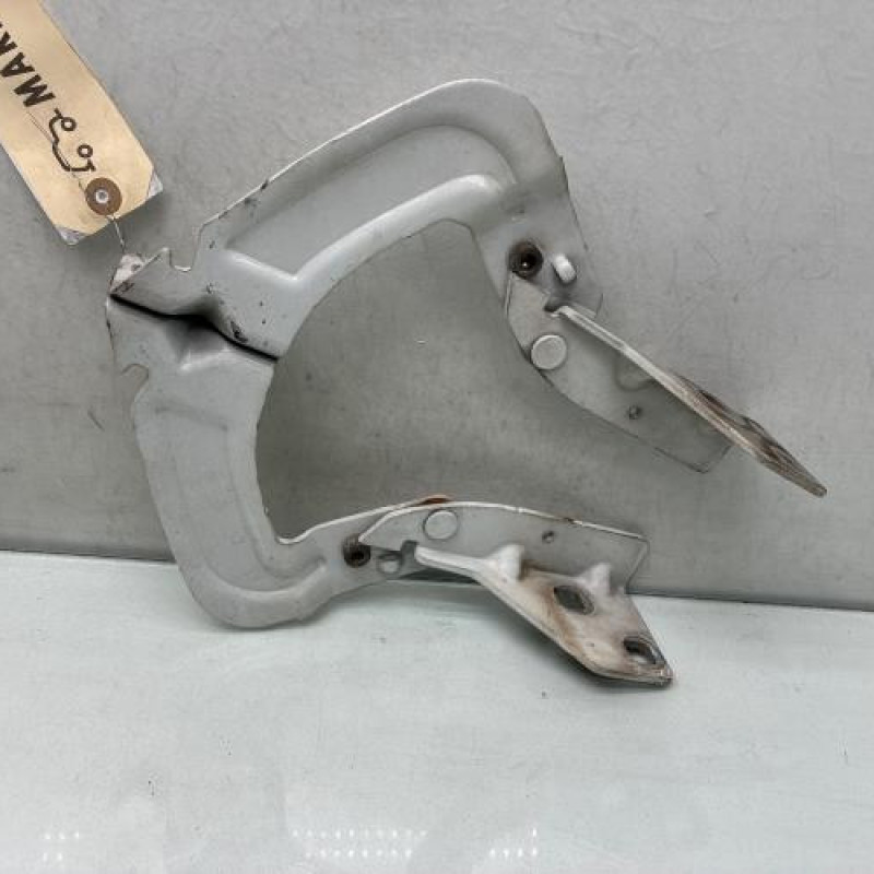 Charniere de capot RENAULT KANGOO 1 Photo n°3